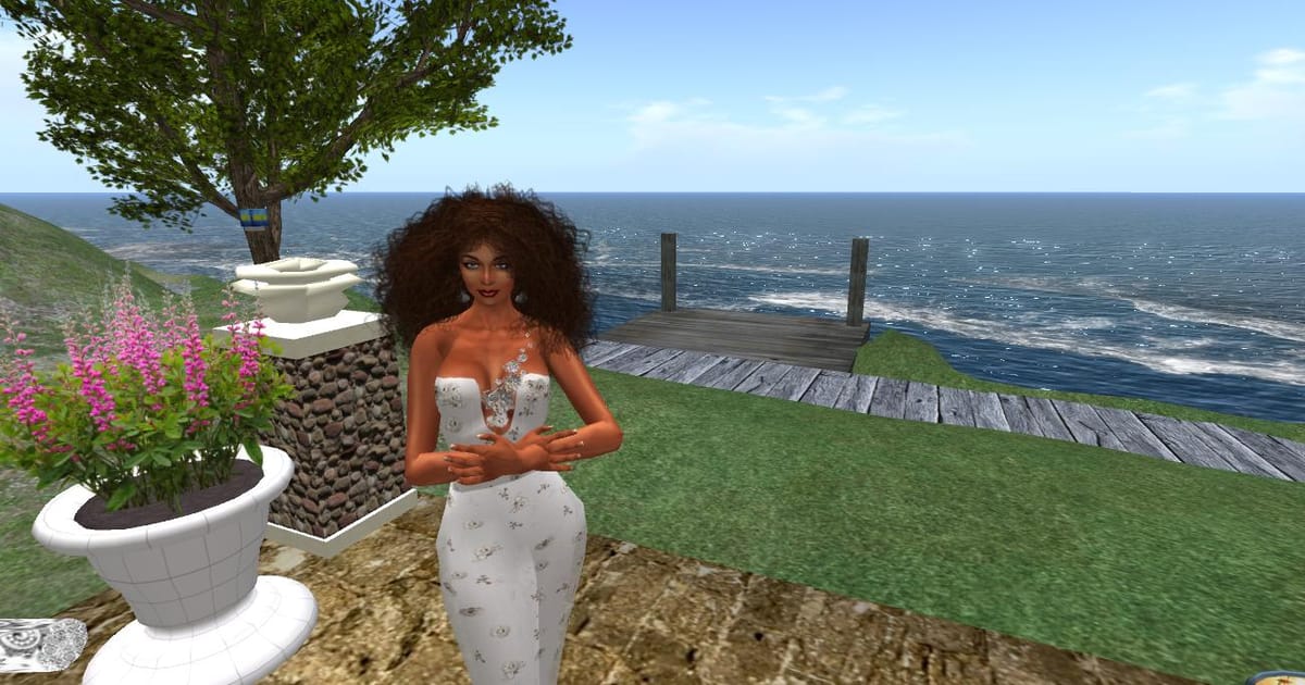 denise-fleischer-nw-suburbs-of-chicago-newspaper-industry-oakton