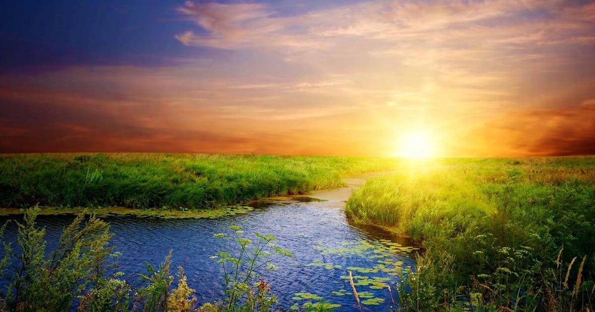 Featherstone Wellness, LLC Denver, Colorado, United States, Health