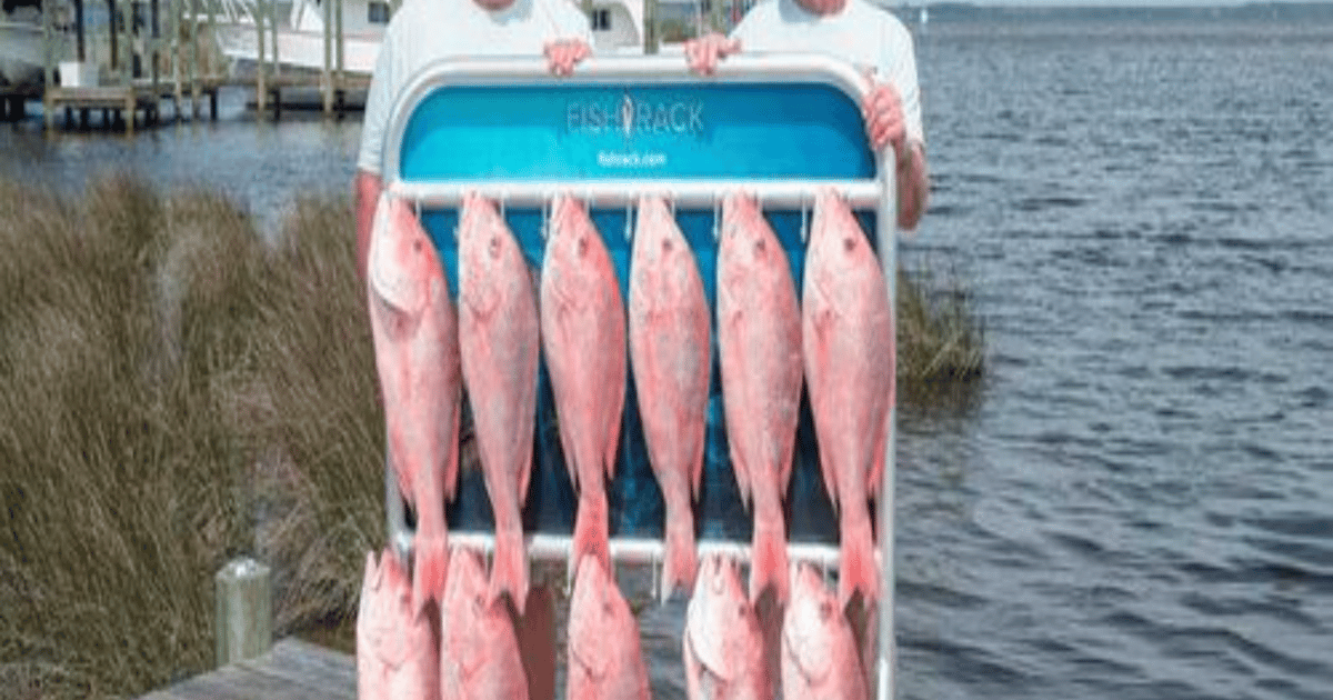 FISH RACK - UNITED STATES | about.me