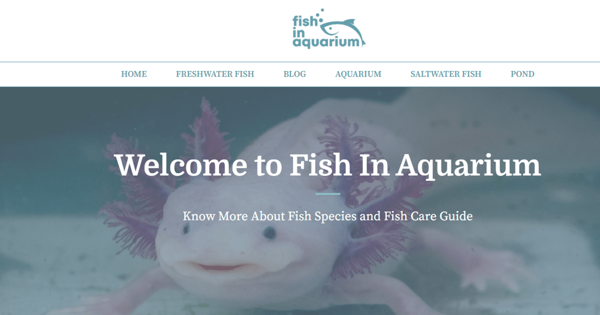 Fish Species Profile - India | about.me