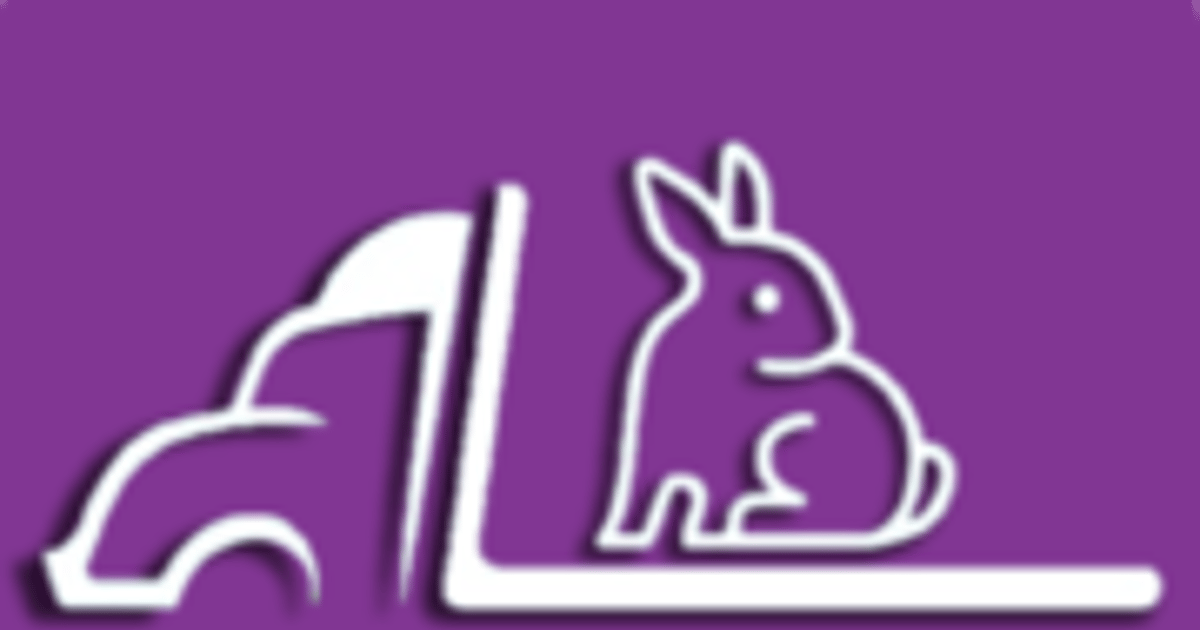 fleet-rabbit-jaipur-about-me