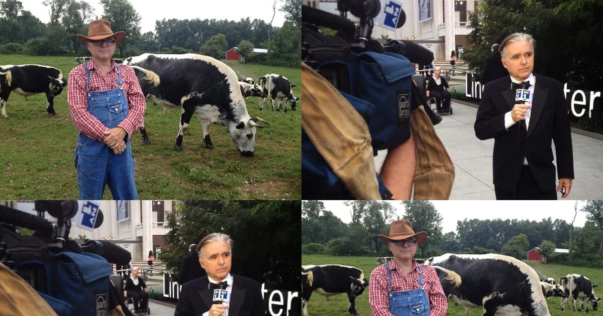 Whipple New York, NY about.me