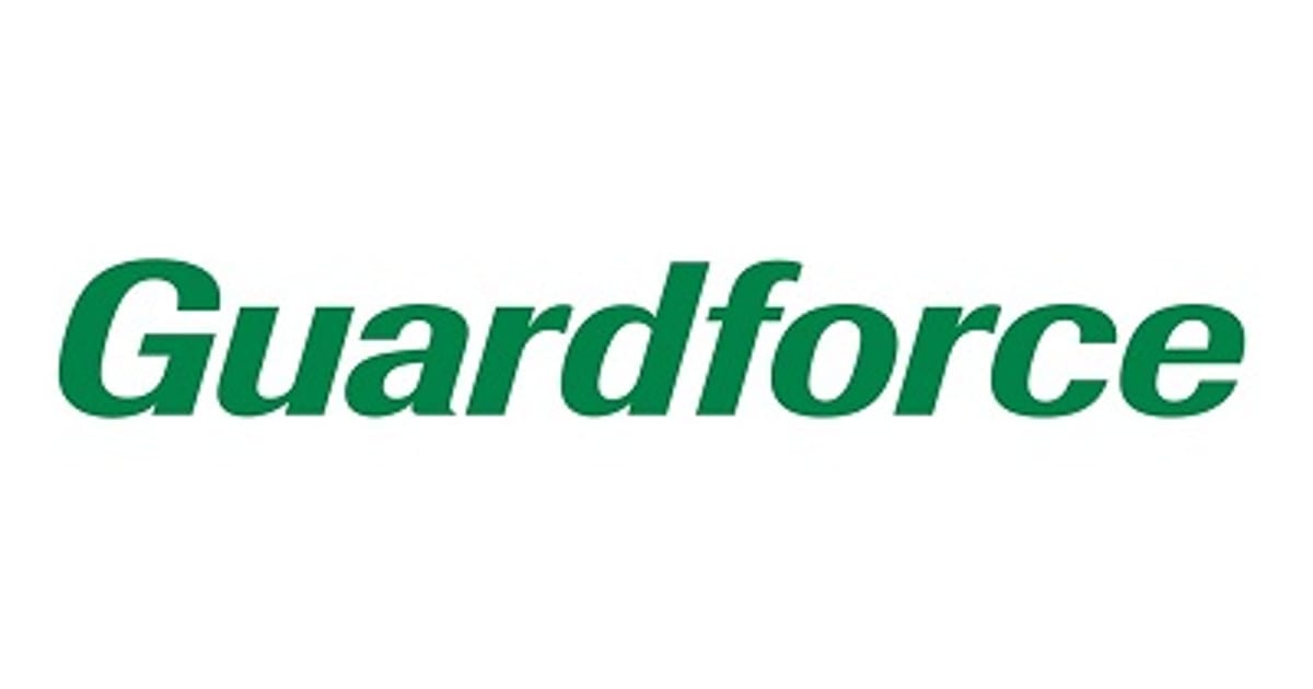 Guardforce AI Stock: What Most People Get Wrong