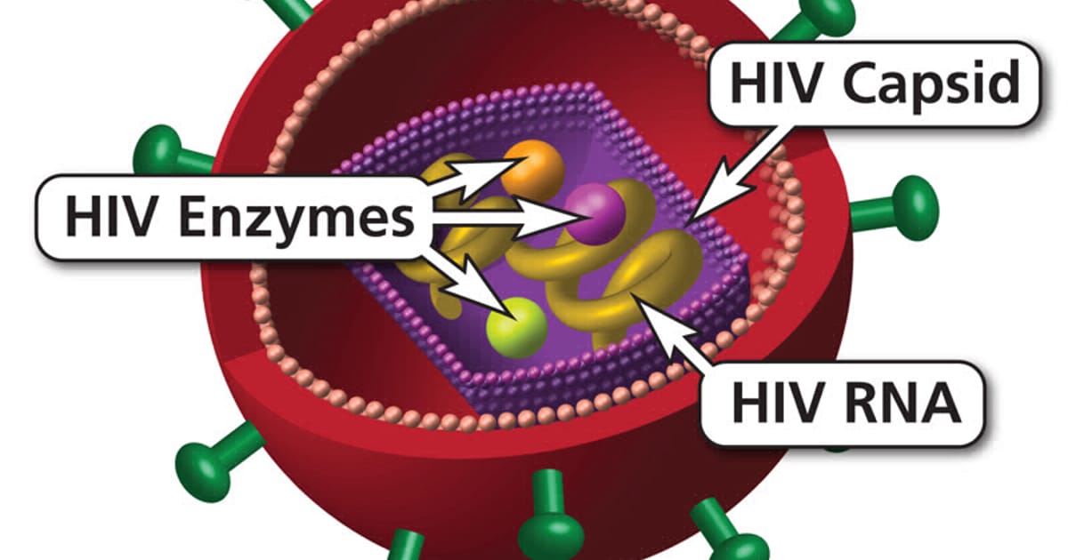 Hiv Rna usa about.me