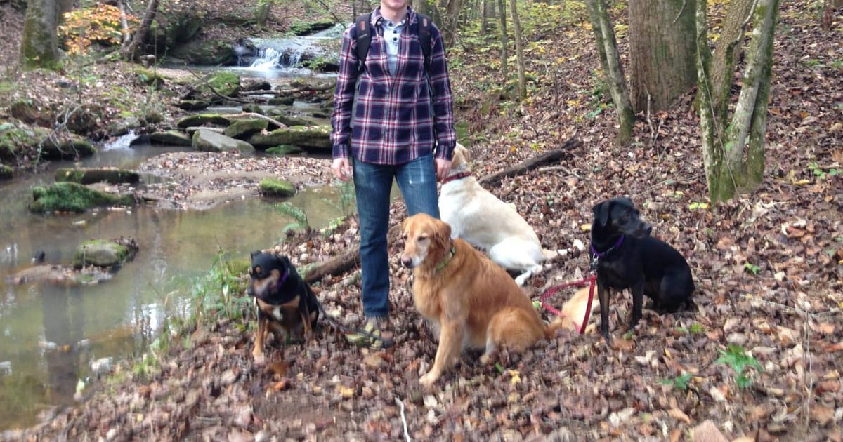 Josh Donahue Atlanta, Ga, Argos Dogworks about.me