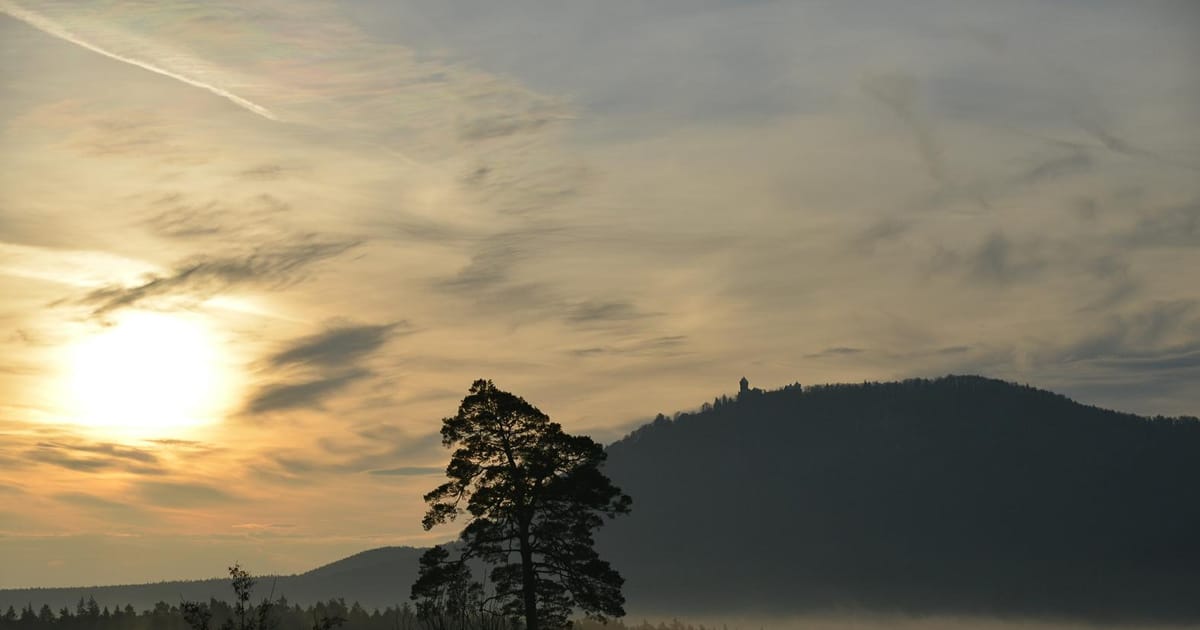 JeanPaul Krebs Alsace, Riquewihr, La Vancelle, France, Vacation