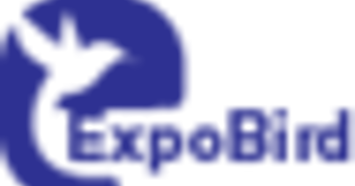 natalia katin Plot No.129 O, Ground Floor, P.E.C.H.S, Block 2