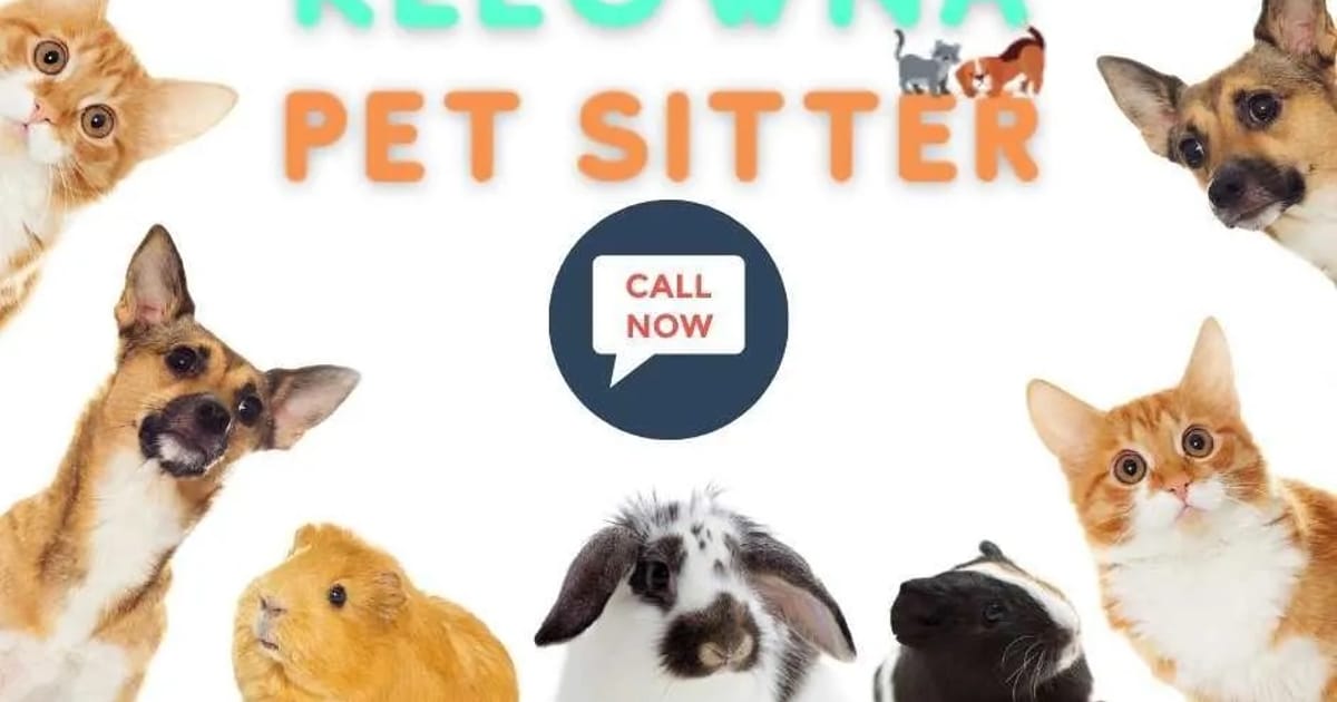 KB Pet Sitter Kelowna Kelowna, British Columbia about.me