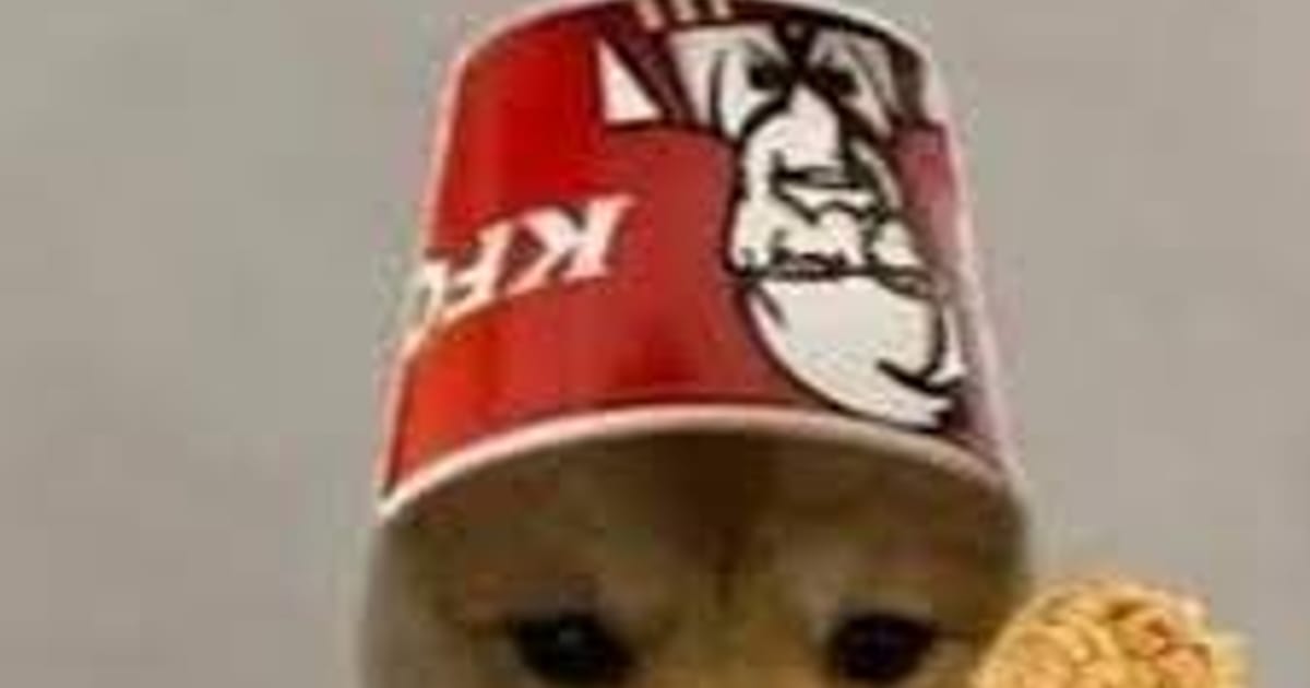 Kfc Dog Swamp Opening Hours