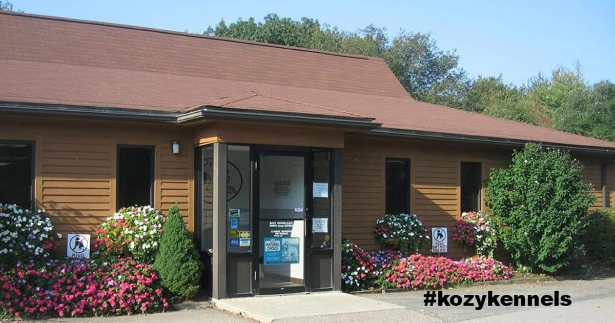 Kozy Kennels, Inc. 619 East St., Mansfield, MA 02048, Bristol County Pet