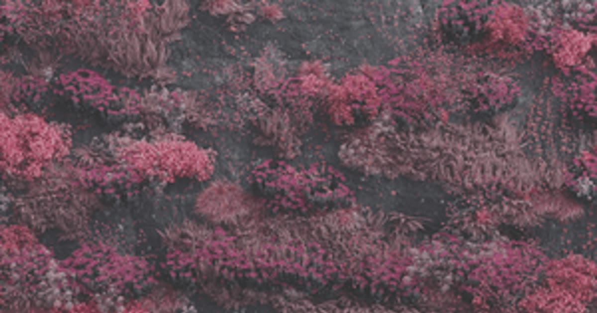 LEAK Sleep Token Even In Arcadia Arcadia (2025) Album download - united