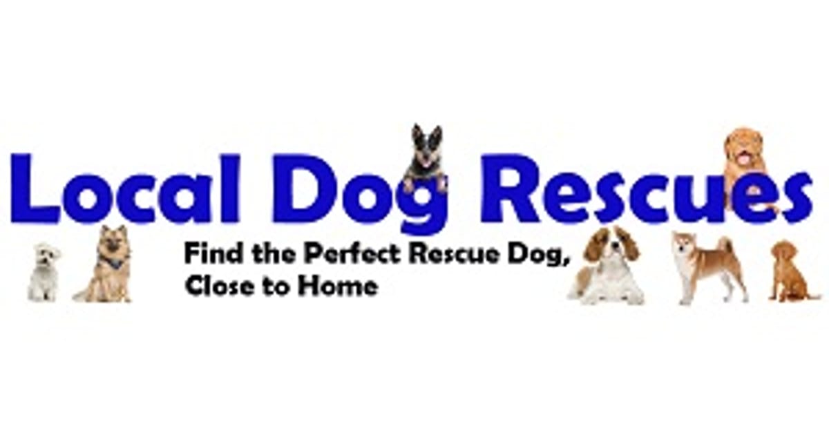 Local Dog Rescues USA About me