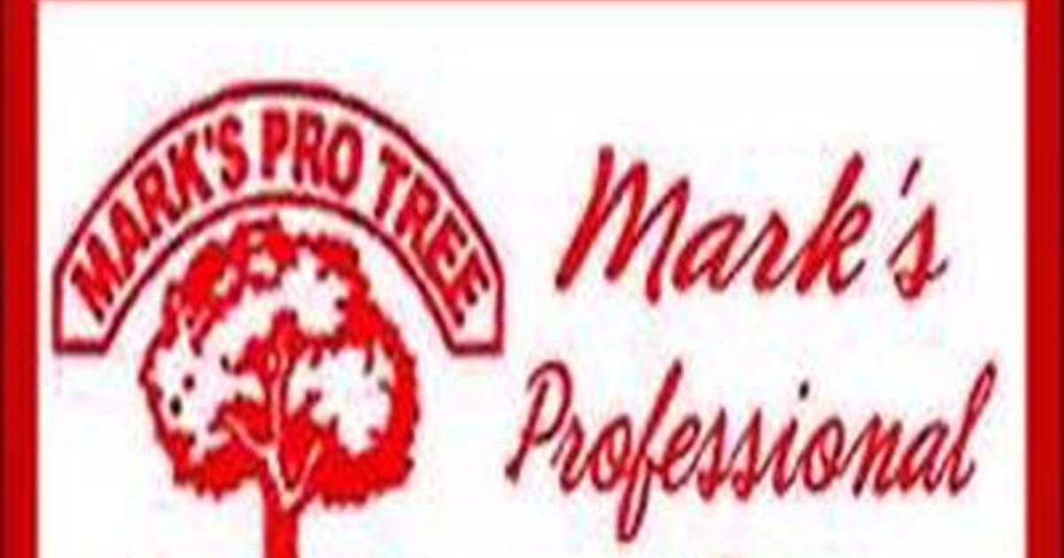 Mark s professional tree service grand rapids about me