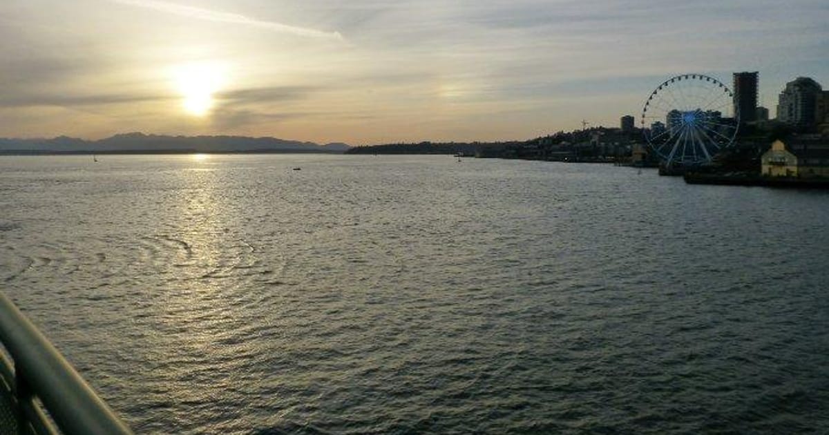 Nick M Cummins Seattle, New York, New York, United States, Software