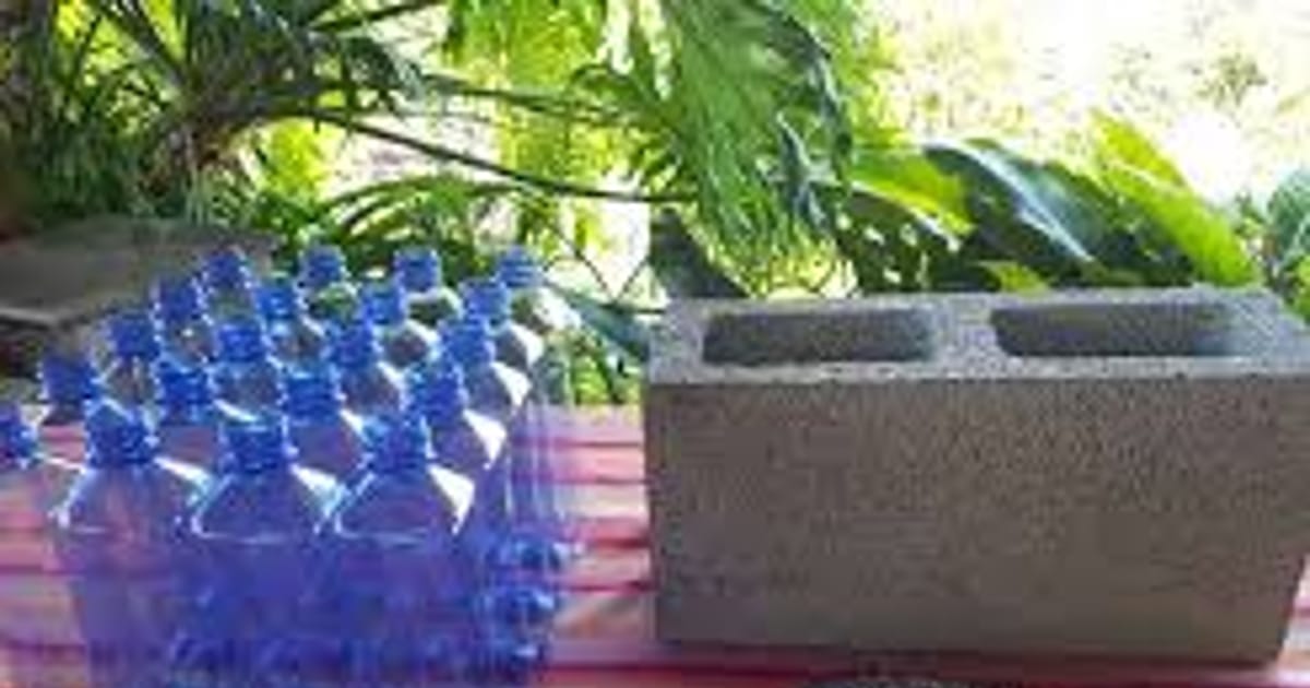 nicolas ron New york about.me