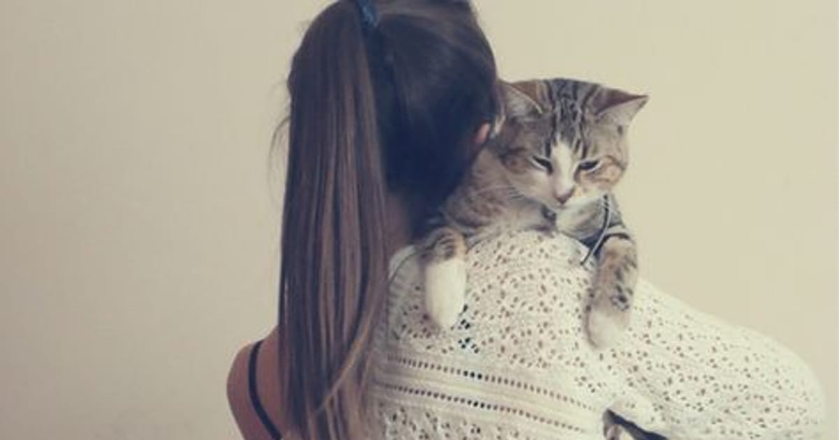 Pioneer Custom Boxes Pioneer Custom Boxes USA about.me