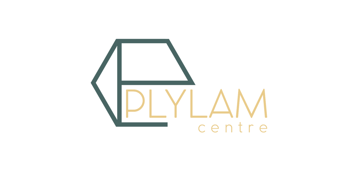 plylam-centre-goshamahal-5-5-685-pink-house-goshamahal-hyderabad