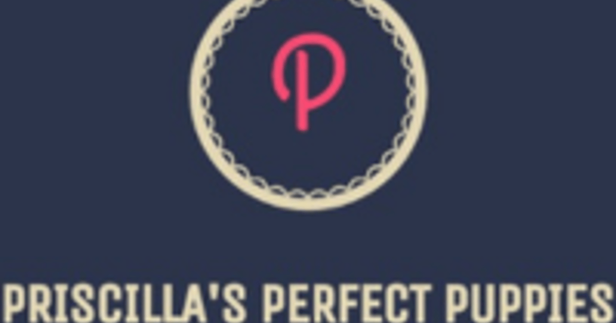 priscillas-perfect-puppies-sherman-maine-usa-about-me