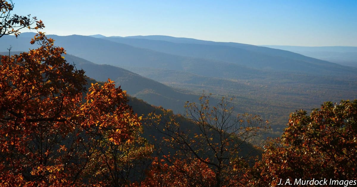 Nate Greiner Exton, Pennsylvania, United States, Liberty Bell Media