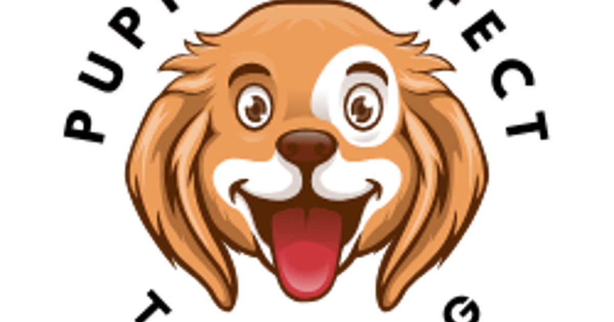 Puppy Perfect Training Dungannon, QLS Level 3 Professional Dog