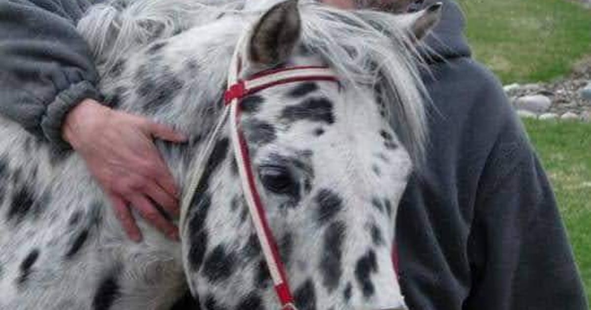 Rob Pfaff Vancouver wa about.me