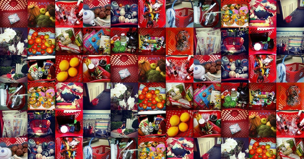 The RED Basket Project Aptos, California, Self employeed, Volunteer