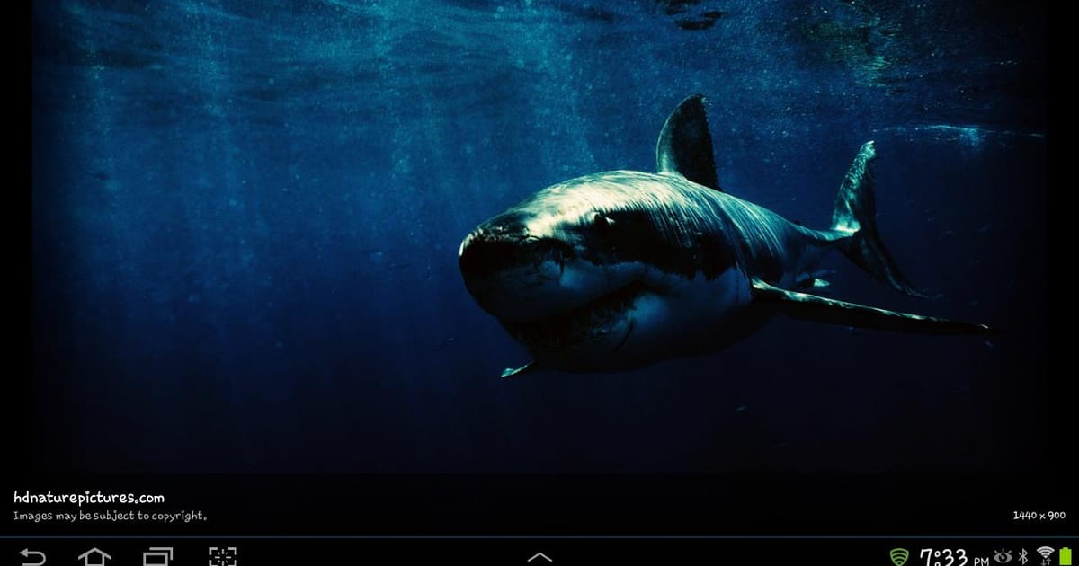 Ace Chapman Kalispell, Montana, Target, GameStop, Best Buy, Docs