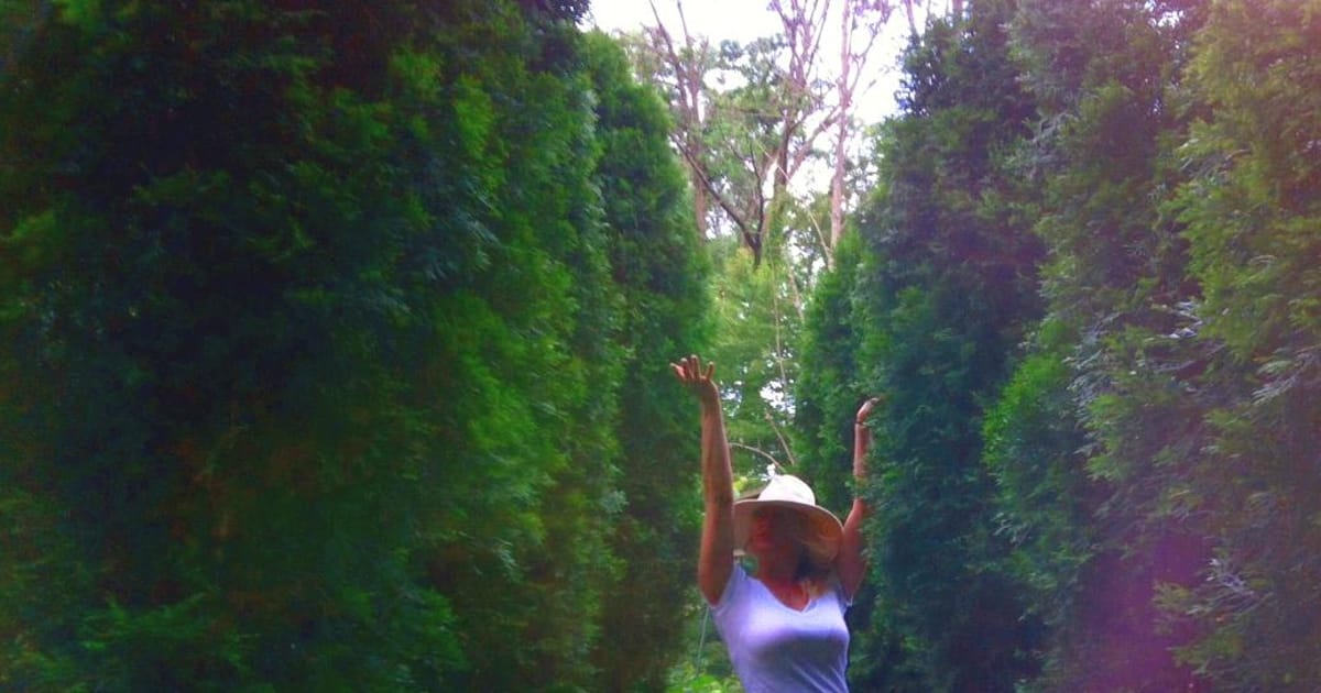 Shonda Thomas Cleveland, Ohio, Strongsville, Ohio, Silver Dolphin