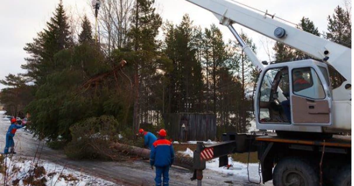 Sioux Falls Tree Care Sioux about.me