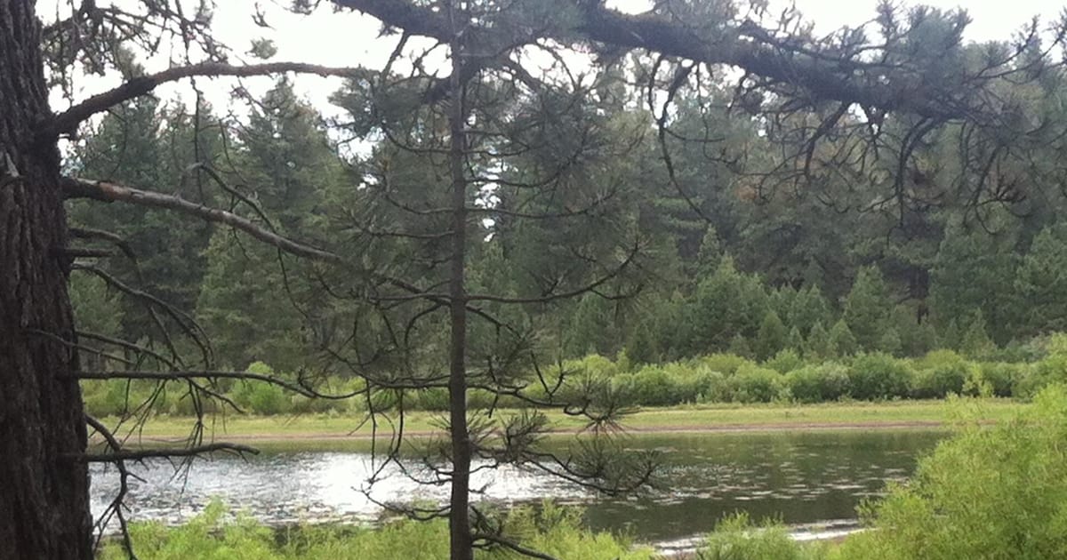 SANDRA LANOIE San Jose, CA Los Gatos, CA, Wells Fargo Advisors, LLC, San Jose State University