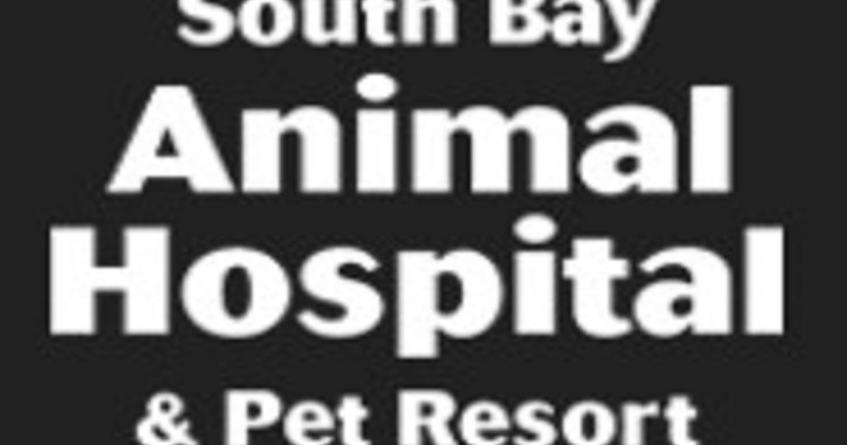 South Bay Animal Hospital 5188 Moorpark Ave San Jose CA 95129