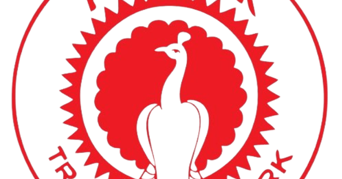 Standard Fireworks Campus Sri Shanmugamani Traders Chennai about.me