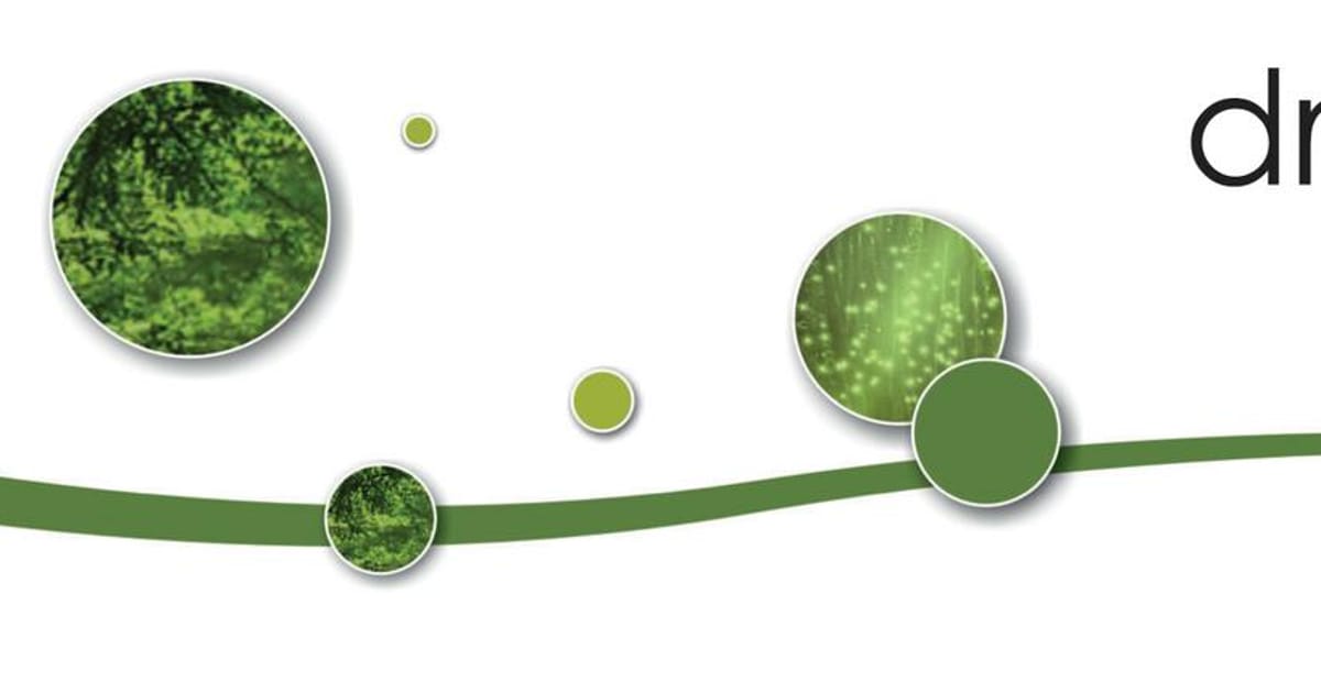 Steele Stellenbosch, Western Cape, South Africa, Integrative