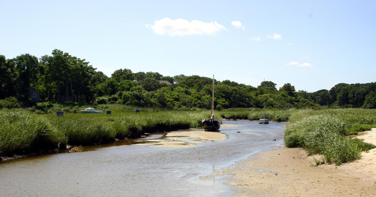 Steve Baty Brewster, Massachusetts, Dennis, Massachusetts, All Media