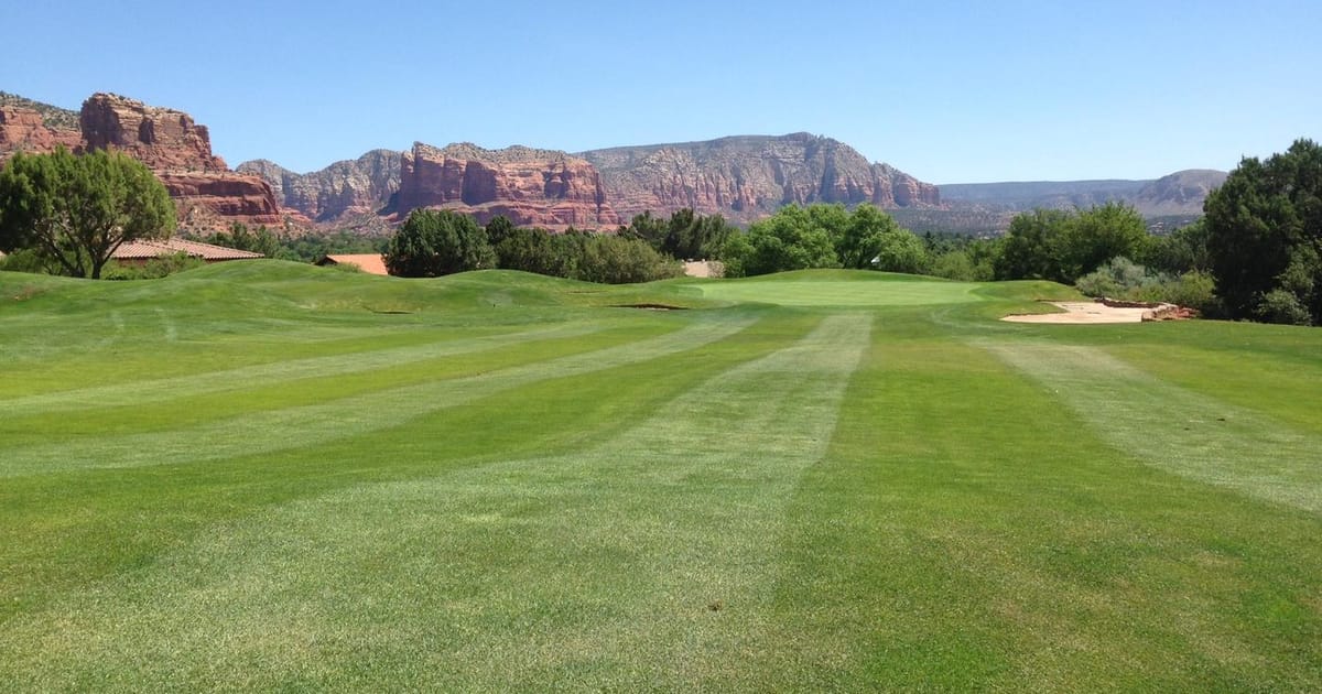 Steve Roth - San Diego, CA, University of Arizona | about.me