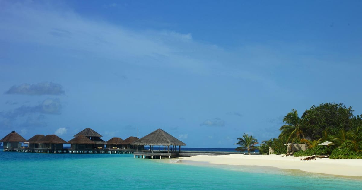 Tiffin Jernstedt New York, NY, PVH about.me