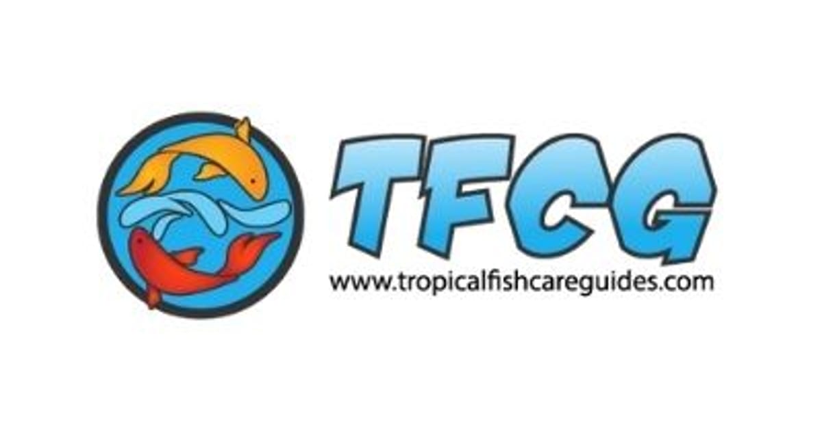 Tropical Fish Care Guides Edmonton, Alberta, T6X 2E1 about.me