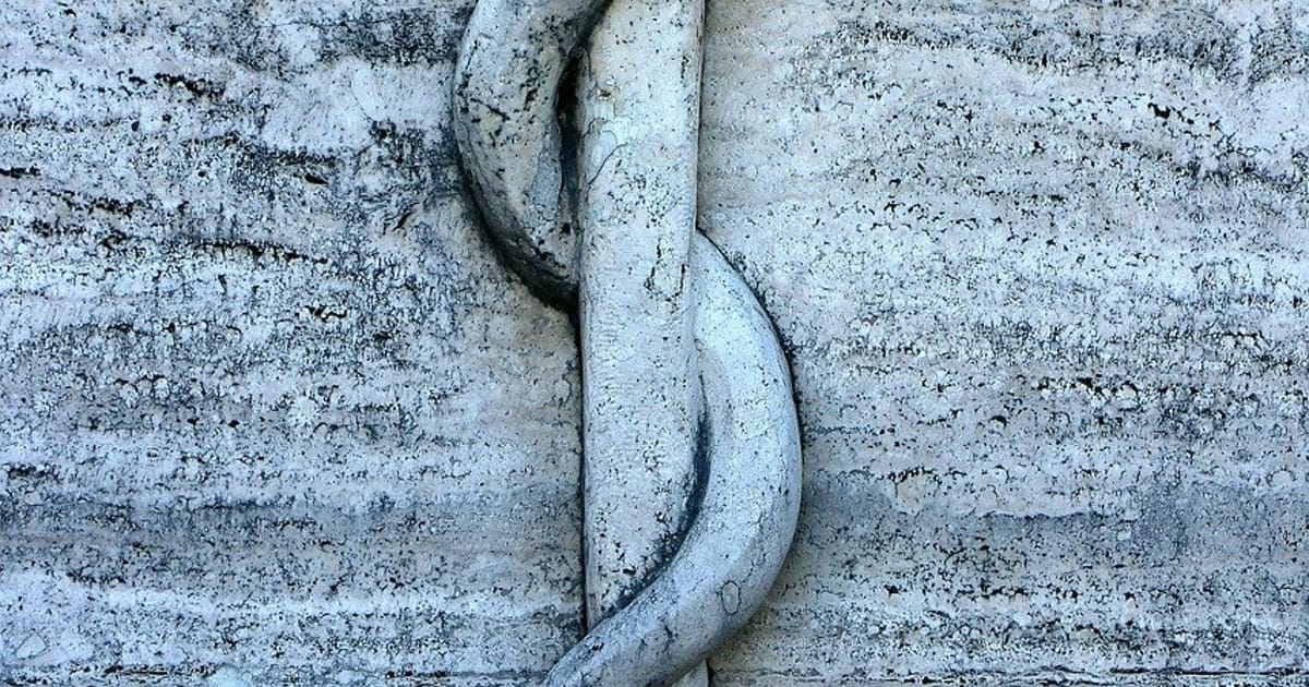 La vara de Asclepios Madrid about.me