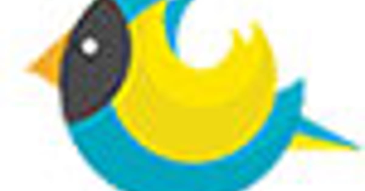 visual-birds-india-explainer-video-production-about-me