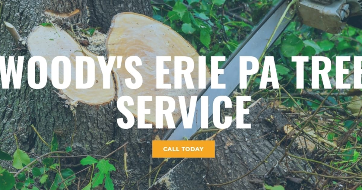 Woody's Erie Pa Tree Service Erie, PA, 16506 about.me